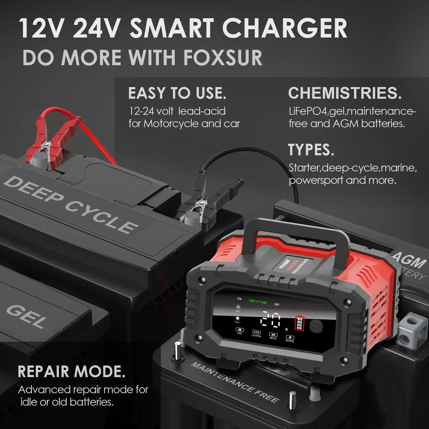 EAFC 12V 24V smart charger image showing features and battery compatibility.