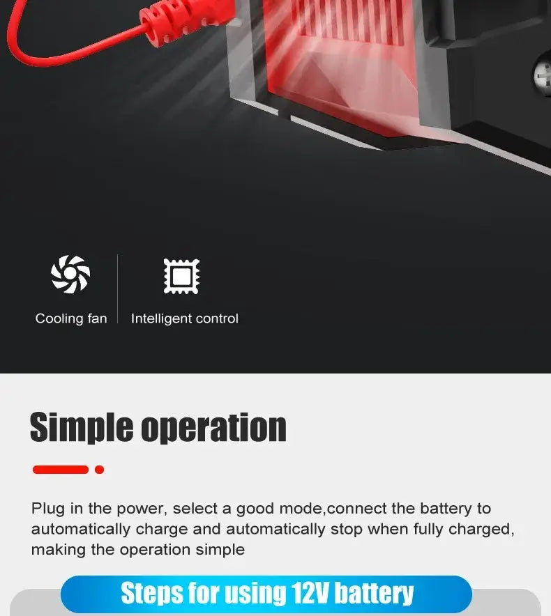 EAFC Išmanusis automatinis Akumuliatoriaus Pakrovėjas 10A