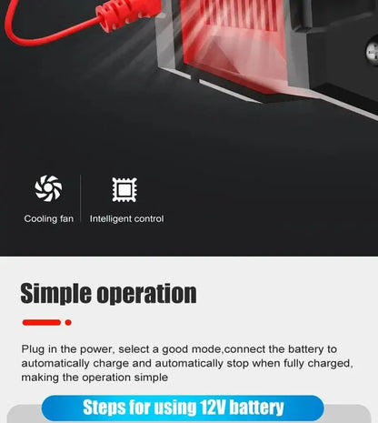 EAFC Smart Automatic Battery Charger 10A